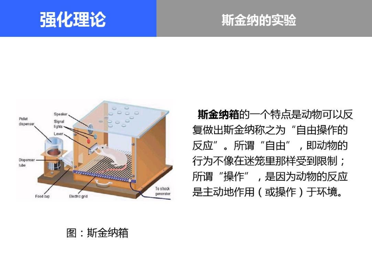 我们的行为到底是如何被引导和强化的?