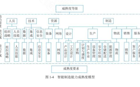 【高项第4版】【第1章】《信息化发展》知识点梳理