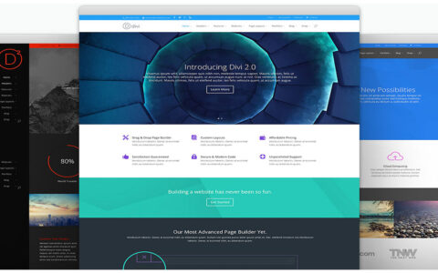 Divi - 智能多用途网站模板wordpress汉化主题