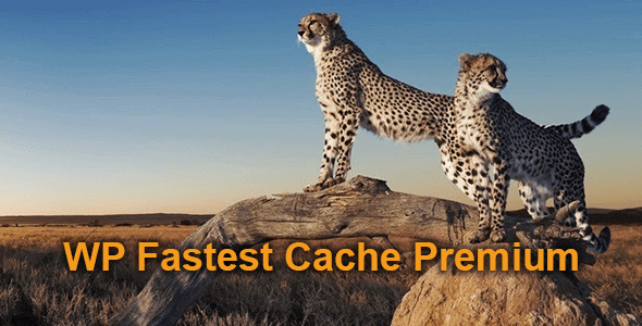 WP Fastest Cache Premium 快速缓存WordPress插件
