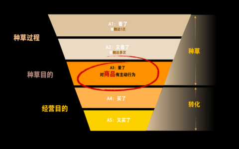 将新品打造成爆品，种草—投流—直播