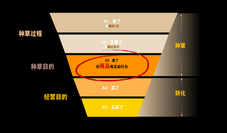 将新品打造成爆品，种草—投流—直播